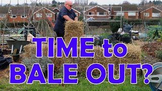 Straw Bale Gardening, will I do it again?