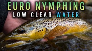 SO MANY TROUT! Euro Nymphing Low Clear Water