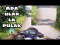 Daily Ride : Terserempak pulak dengan ular! 😱 | ft Honda Rs150r V2