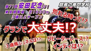 【競馬】安田記念2021 グランアレグリアの中間 蹄球部の不安について【競馬の専門学校】