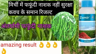 Adama Zamir fungicide। अदामा जमीर फफूंद नाशक। Adama Zamir Technical।।price dose benefits-of-chilli