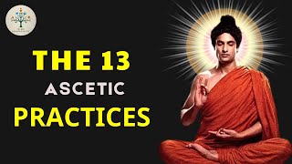 Unveiling the 13 Ascetic Practices: Pathways to Spiritual Liberation – Buddhism in English