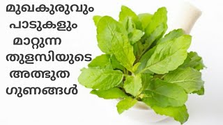 Amazing benifit of basil/തുളസിയുടെ  അത്ഭുത ഗുണങ്ങൾ