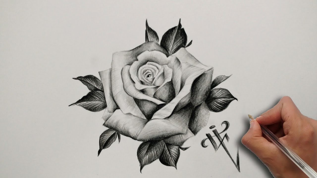Como Dibujar Una Rosa Realista A Lapiz
