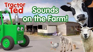 Can You Guess The Sounds On The Farm With Tractor Ted? 🐄🚜👨🏼‍🌾🐴🐓