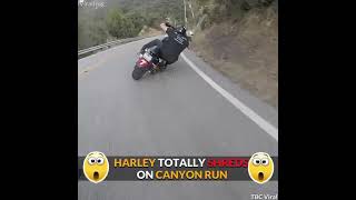 Harley outrides sports bikes on canyon run. Absolute BOSS!🤘😎