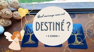 🧚‍♀️🌟 QUEL MESSAGE VOUS EST DESTINÉ ? VENEZ LE DÉCOUVRIR - 3 choix - 🔮 guidance intemporelle