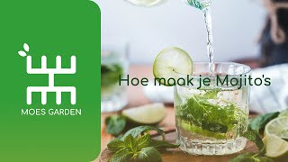 Hoe maak je een lekkere mojito cocktail met verse munt? | Geschikt voor beginners