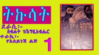 ትኩሳት ክፍል 1/ስብኃት ገ/እግዚአብሔር/Amharic Audiobook Narration SEBHAT G/EGZIABHER/TIKUSAT PART 1