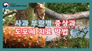 [#원예농업기술서비스] 🍎사과 부란병 증상과 도포제 치료 방법🍎ㅣ사과연구소ㅣ국립원예특작과학원