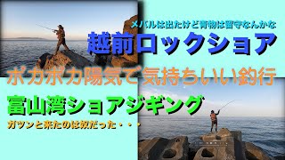 【ショアジギング】まだ時期が早いけど青物狙いに福井方面へ〜。数日後には富山湾リベンジ。どちらもボウズは免れましたが・・・。なんだかなぁ(ㆀ˘･з･˘)