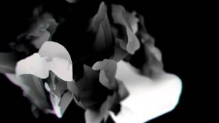 Trapcode Experiment 10: More Mir