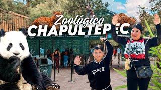 Así es el ZOOLÓGICO de CHAPULTEPEC 🦁🦒🇲🇽 | Solo queda un PANDA 🐼 | CDMX 🇲🇽