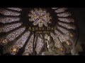 Agnus Dei (Official cover by Megan Tibbits)