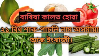 বাৰিষা কালত হোৱা ২১বিধ শাক-পাচলি নাম অসমীয়া আৰু ইংৰাজী//শাক-পাচলি নাম//Names of 21 vegetables//