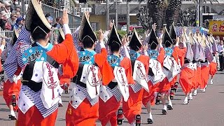 いやすご～い「水玉連」阿波おどり はな・はる・フェスタ2017@藍場浜