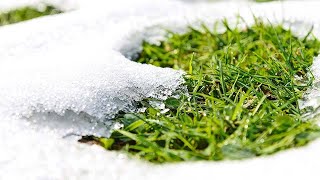 Gusty wind through early morning - Tracking some snow for your Wednesday