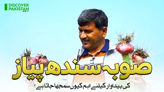 Why is Sindh province considered important for onion production? | Discover Pakistan TV