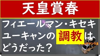 天皇賞春2020年　追い切り診断　フィエールマン・キセキ　など