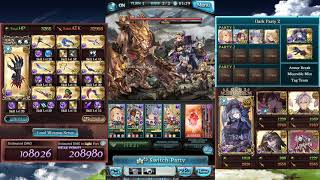 Tower of Babyl 20-2 Magna Dark 2 Turns (バブ・イールの塔 20-2 闇マグナ2ターン)