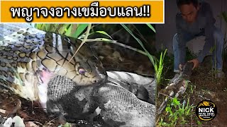 ลุยดิบ EP.23 พญาจงอางเขมือบแลน ทำไมไม่ปล่อยให้กินไปก่อน?