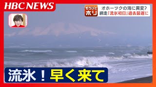 “流氷のマチ”から眺める北海道オホーツク海沖に、いまだ海を覆う流氷の姿は見えず　海水温が高く、北風が吹く日も少ない今シーズン…冬の海には巨大生物の群れ