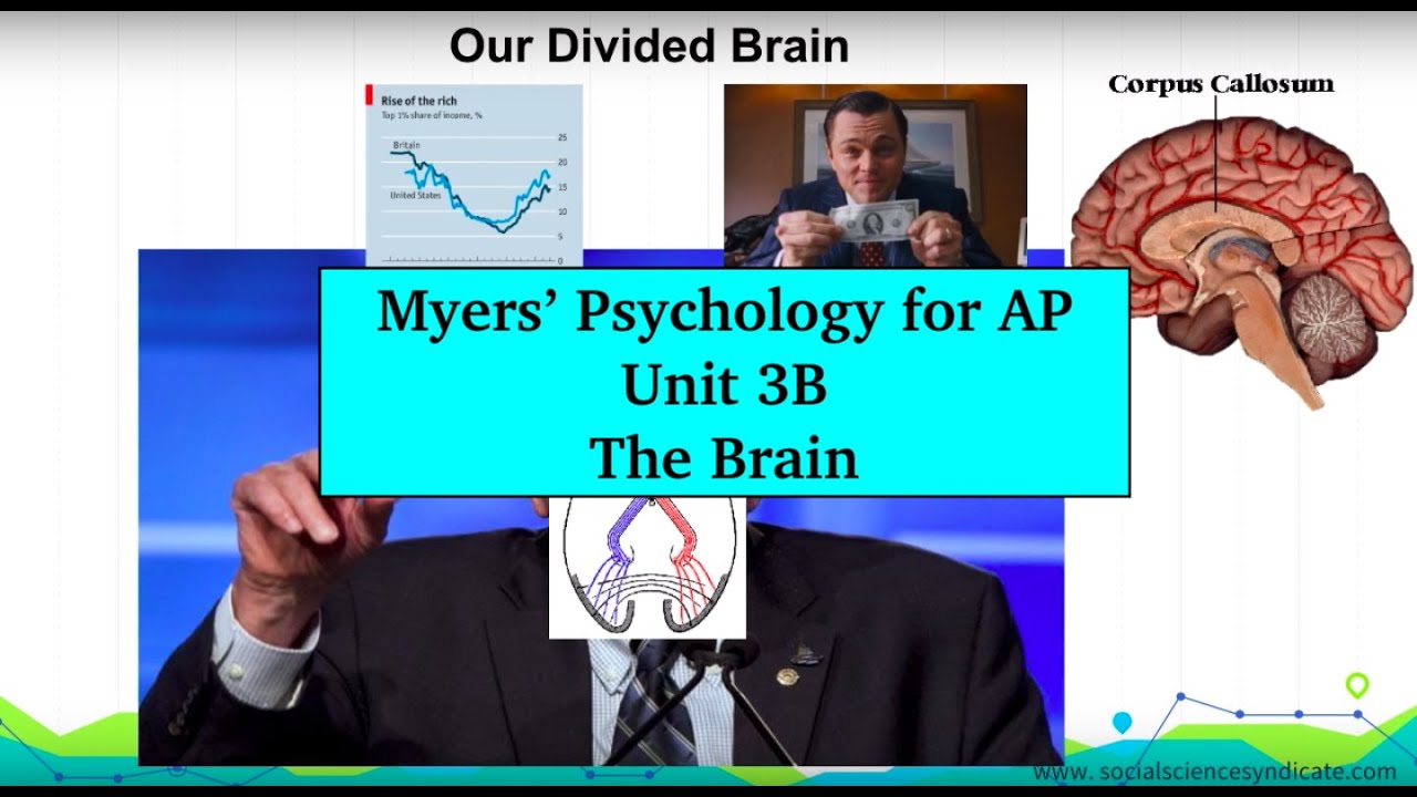 AP Psychology | Myers’ Unit 3B - YouTube