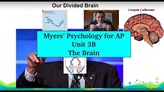 AP Psychology | Myers’ Unit 3B