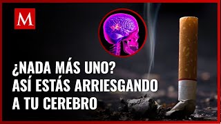 ¿Cómo afecta el cigarro a tu cerebro? Estos son los efectos que tiene este producto