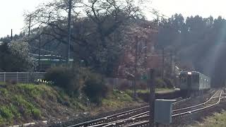 1番線ホームの桜が開花した舞木駅に磐越東線普通列車723Dが到着・発車＿2022年4月撮影