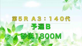 [チョコボスタリオン] 若葉杯１：５Ｒ；Ａ３-１４０代　予選Ｂ [エキシビジョン]