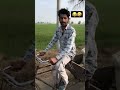 ਰਿਸਤੇਦਾਰਾ ਨੂੰ ਬੇਨਤੀ🙏🙏 punjabi viral viralshorts shorts ytshorts veryfunny