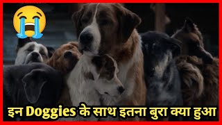 आदमी ने Doggies के साथ इतना बुरा क्यों किया 😱? Dog's Love Heart Touching Emotional Story ❤️  #shorts