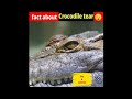 facts about Crocodile tears😲 #shorts #youtubeshorts #shortsvideo