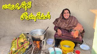 Alhamdulilah Begam Wapas Ghar Pahoch Gai 😊| Rabia Ahmad Vlogs