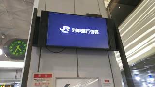 【ライブ】 大雪警報発令中！ 秋葉原駅周辺 2018.1.22