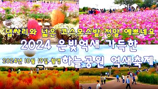 은빛 억새 가득한 2024 하늘공원 서울 억새축제 개막...(2024.10.19~10.25) 작년에 없던 예쁜 댑싸리도 생겼고, 코스모스가 정말 예쁘게 피었네요.