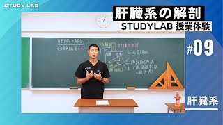 肝臓系の解剖1 講義体験 オンライン講義看護師国家試験対策｜STUDY LAB #看護学生 #看護師国家試験 #看護師