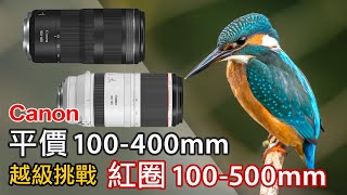 Canon 平價 RF100-400mm F5.6-8 越級挑戰紅圈 RF 100-500mm f4.5-7.1 | RF 100-400 vs RF 100-500 #canon #eosr5