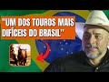 Touro que era tão bom quanto o touro BANDIDO