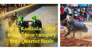 Adve Nandikur Kambala 2019 - Rope senior category PRE-QUARTER Finals