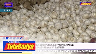 Agriculturist dumidepensa sa pagtatanim ng mga magsasaka sa Batanes | TELERADYO BALITA (9 Sept 2022)