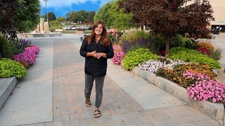 Final Tour of the Annuals We Planted At Our Local Community College! 🌸👌😍 // Garden Answer