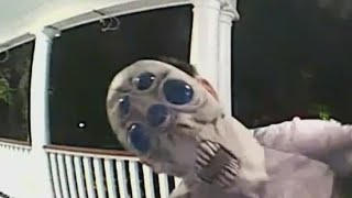 Ashleigh Banfield: Video of alien life on my porch | Banfield