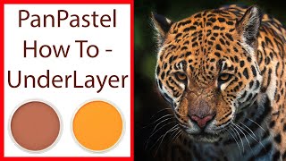 Paint A Lifelike Jaguar: Underlayer Techniques With Panpastel | JasonMorgan.co.uk