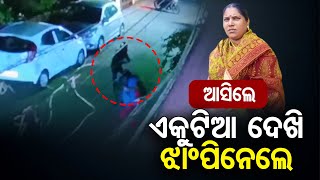 ଆସିଲେ …  ଏକୁଟିଆ ଦେଖି ଝାଂପିନେଲେ    | Odisha Reporter