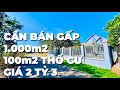 Chủ bệnh nặng ! cần bán gấp đất vườn 1.000m2 có thổ cư ,vị trí đẹp ở bà rịa vũng tàu