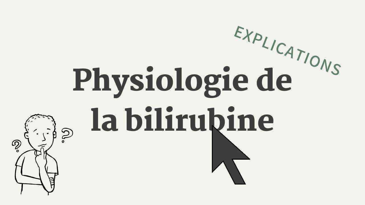 Physiologie De La Production De La Bilirubine - Conf Apollon - YouTube