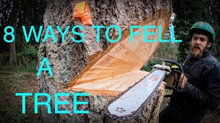 WORLD'S BEST TREE FELLING TUTORIAL! Way more information than you ever wanted on