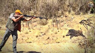 Chasse Sanglier Au Maroc - Wild Boar Hunting Season 2023/2024 ||KHROUBA||MEKNES